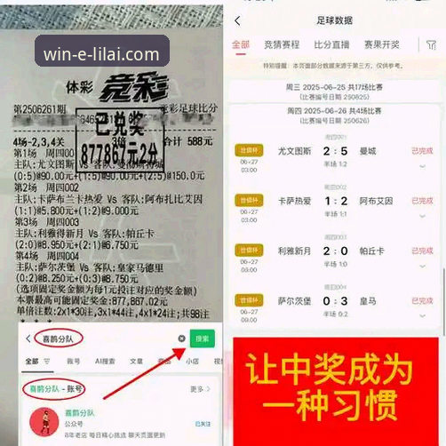 利来体育官网活动 资深技术评测员分享:利来体育平台活动参与实战经验与深度分析